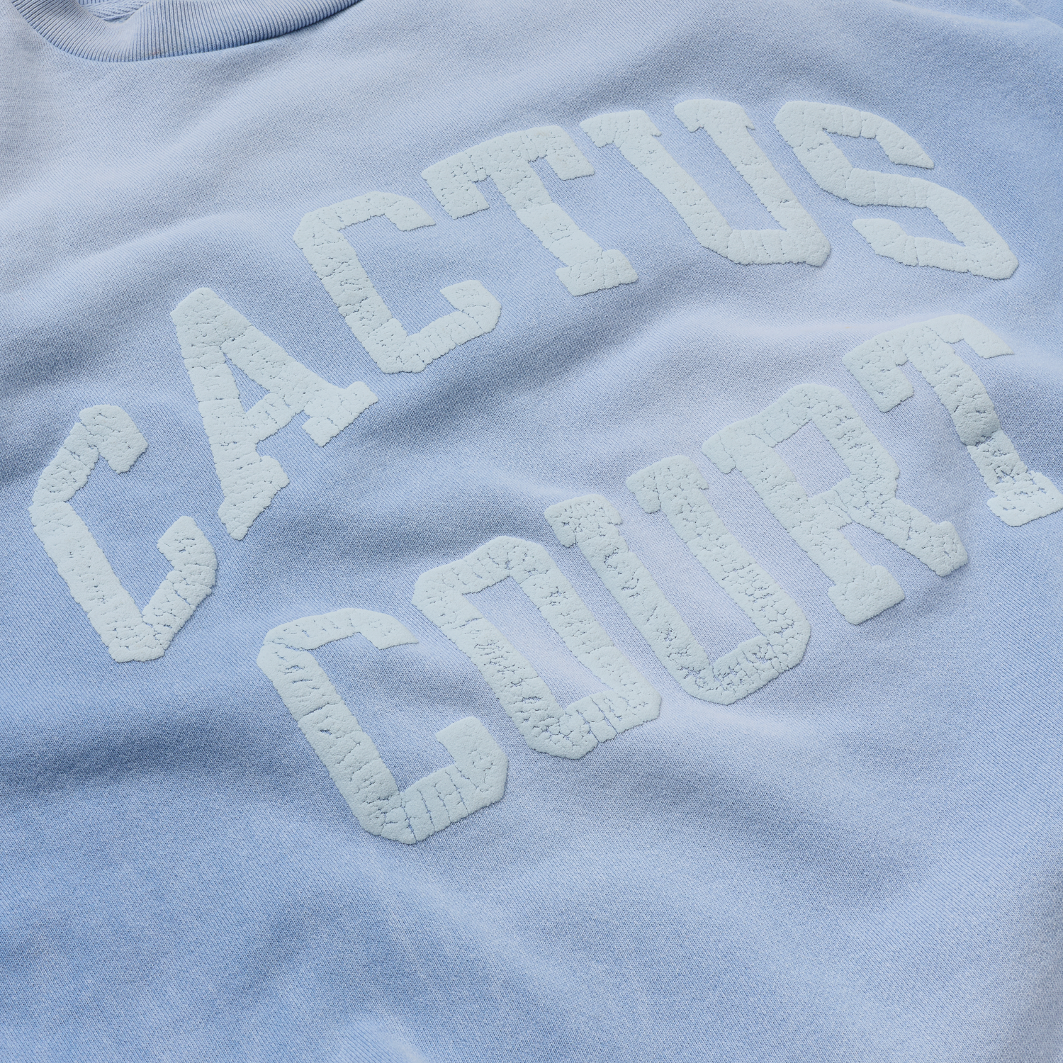 CJ X NIKE CACTUS COURT VARSITY CREWNECK